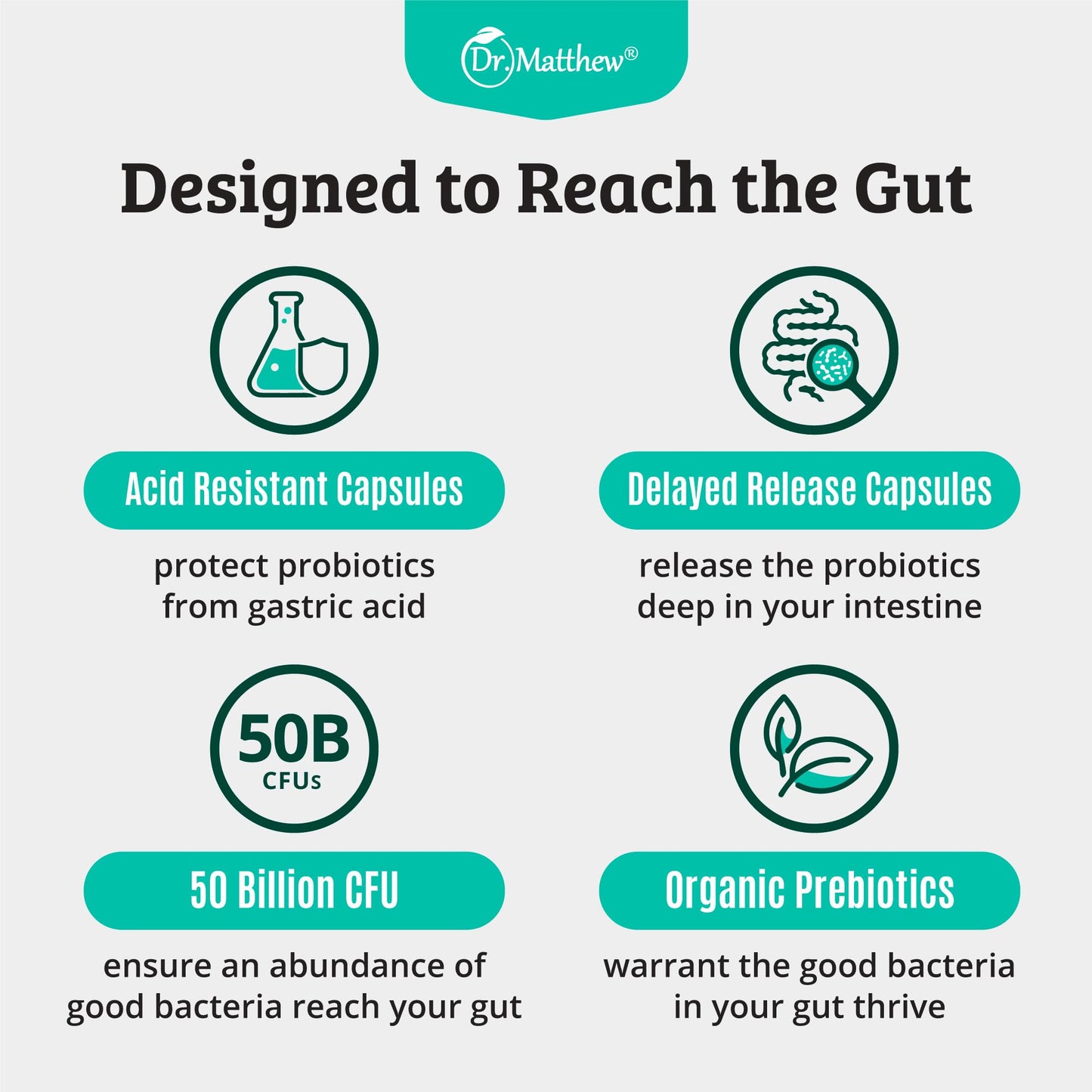 Prebiotics and Probiotics: Lactobacillus Gasseri, Lactobacillus Rhamnosus, Plantarum, Casei, Bifidobacterium longum, lactis, infantis. Probiotic Prebiotic, - Maple Wellness Supplements