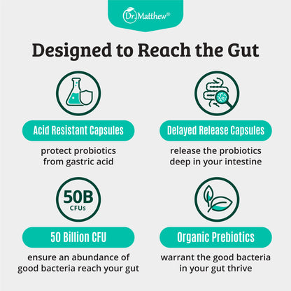 Prebiotics and Probiotics: Lactobacillus Gasseri, Lactobacillus Rhamnosus, Plantarum, Casei, Bifidobacterium longum, lactis, infantis. Probiotic Prebiotic, - Maple Wellness Supplements
