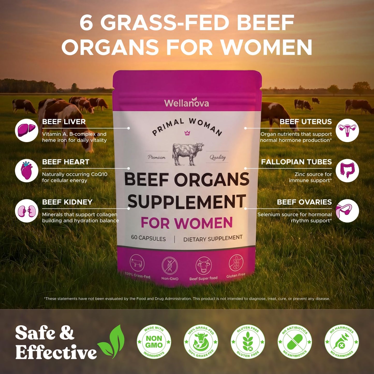Primal Beef Organ Supplement for Women, Grass-Fed Ancestral Superfood Supplement with Uterus & Liver for Hormone Balance & Queen Energy - 60 Day Supply - Maple Wellness Supplements