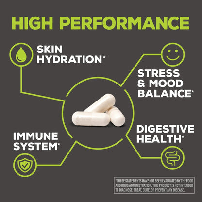 Probiotic for Gut Health 100 Billion CFU Probiotics Supplement Capsules 16 Strains Prebiotics + Postbiotics for Gut Immune & Colon Health Energy & Endurance Support Soy-Free Non-GMO 30 Capsule Serving - Maple Wellness Supplements