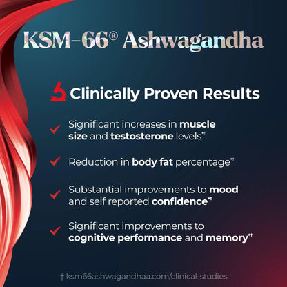 Promescent Desensitizing Delay Spray for Men Clinically Proven to Help You Last Longer in Bed, Prolong Climax for Him, 2.6 ml + Testosterone Booster for Men Supplement with KSM-66 Ashwagandha - Maple Wellness Supplements
