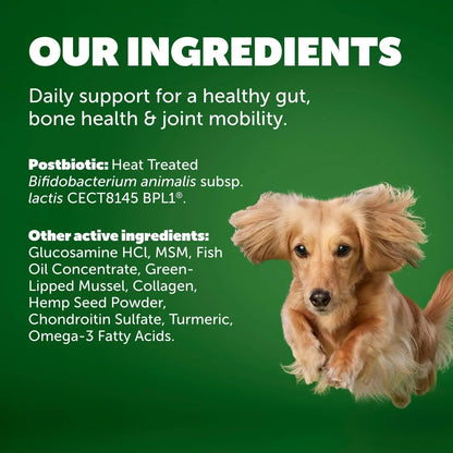 Protexin Daily Care Gut+ Mobility | 60 Dog Chews, Chicken and Bacon Flavor Dog Supplement | Probiotics for Dogs, Dog Postbiotics - Maple Wellness Supplements