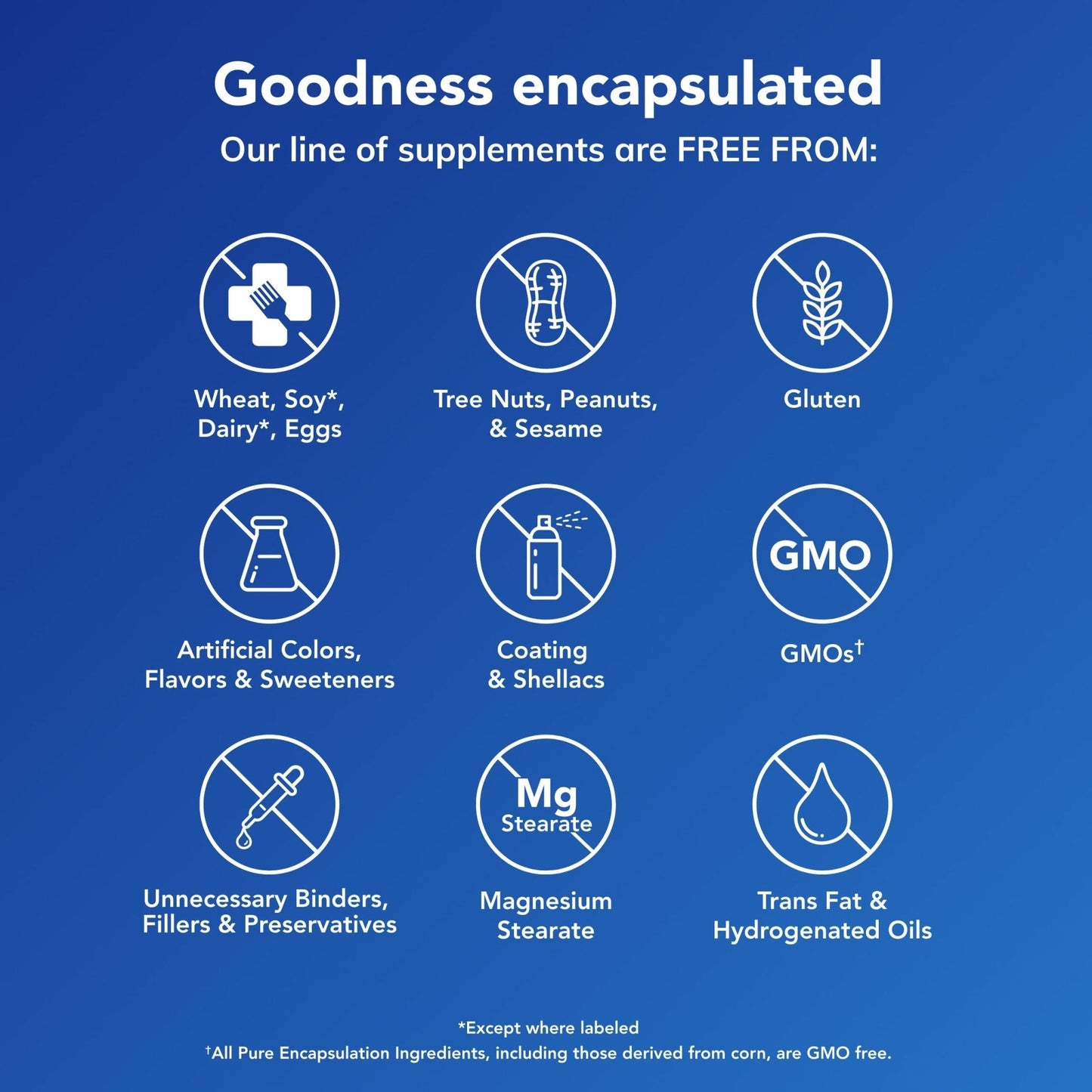 Pure Encapsulations NR Longevity NAD Supplement – Supports Healthy Aging, NAD+ Replenishment, Mitochondrial Function, with NIAGEN – Gluten Free, Non-GMO, Hypoallergenic – 60 Capsules - Maple Wellness Supplements