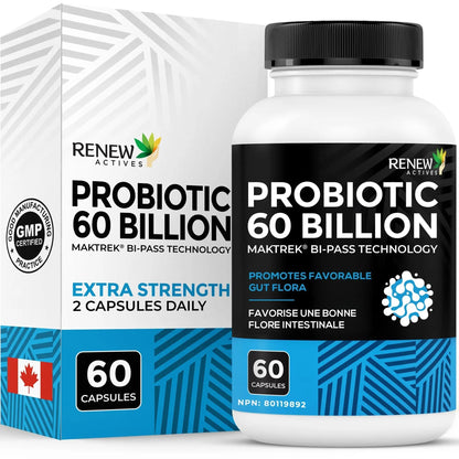Renew Actives Probiotic Supplement for Digestive Health 60 Billion CFU per 2 Capsules - Advanced Formula with Prebiotic Benefits - Supports Gut Flora Balance & Wellness - Made in Canada - 60 Capsules - Maple Wellness Supplements
