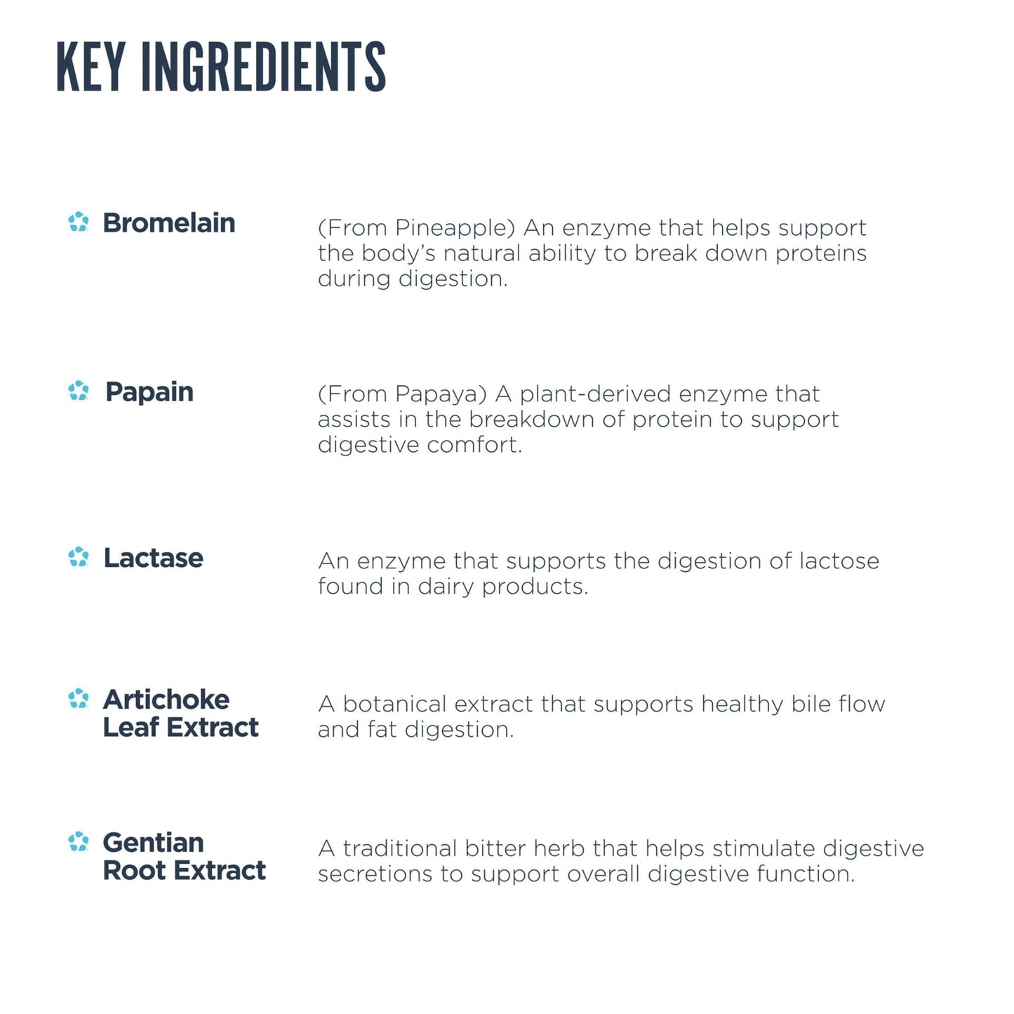 Revive MD Digest Aid, Digestive Support Supplement for Men & Women - Comprehensive Digestive Enzyme Blend with Probiotics & Prebiotics for Gut Health & Healthy Digestion - Maple Wellness Supplements
