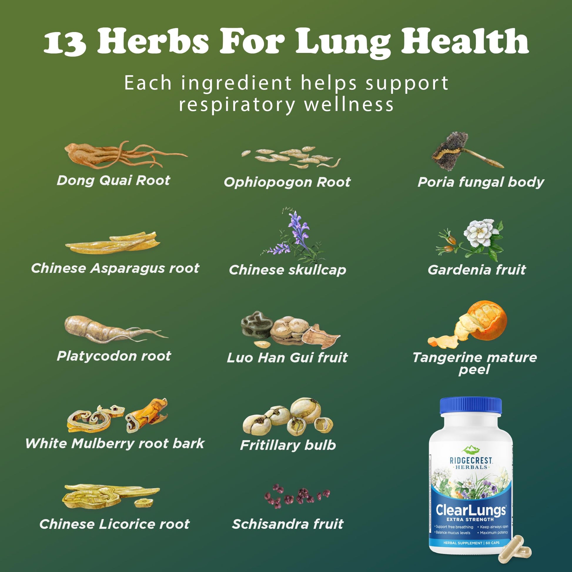RidgeCrest Herbals ClearLungs Extra Strength, Daily Health Supplement, Natural Lung and Nasal Wellness Formula - Maple Wellness Supplements