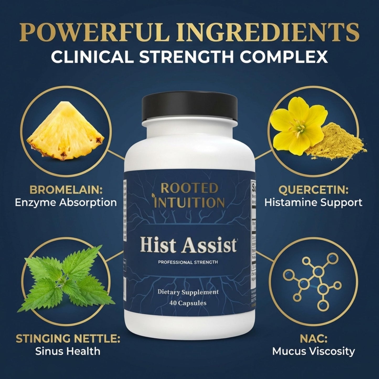 Rooted Intuition Hist Assist | Seasonal Sinus & Immune Balance Formula | Quercetin Bromelain NAC Nettle | Non-GMO Gluten Free | 40 Capsules - Maple Wellness Supplements