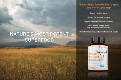 SaltWrap Organ Therapy - Grass Fed Beef Organ Meat Complex Supplement with Organic - Maple Wellness Supplements