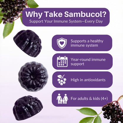 Sambucol Elderberry Gummies - Immune Support Supplement for Adults & Kids with Vitamin C & Zinc, Sambucol Elderberry - Maple Wellness Supplements