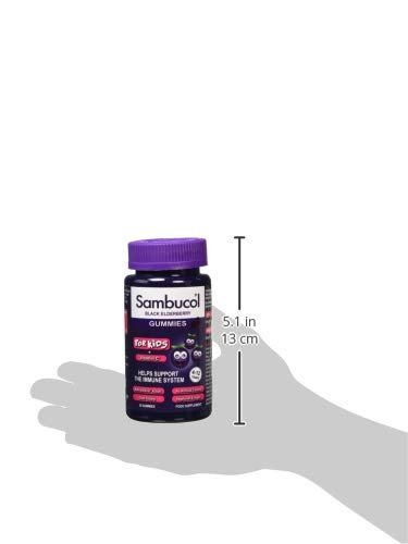 SAMBUCOL KIDS GUMMIES 30'S, 30 Count (Pack of 1) - Maple Wellness Supplements