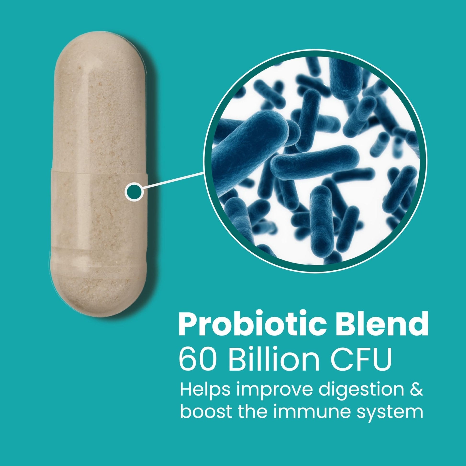 Sanar Naturals Probiotics 60 Billion CFU – Support, Digestive & Gut Health - Probiotics for Women and Men - Vegan, Non-GMO, Gluten Free, 120 Capsules - Maple Wellness Supplements