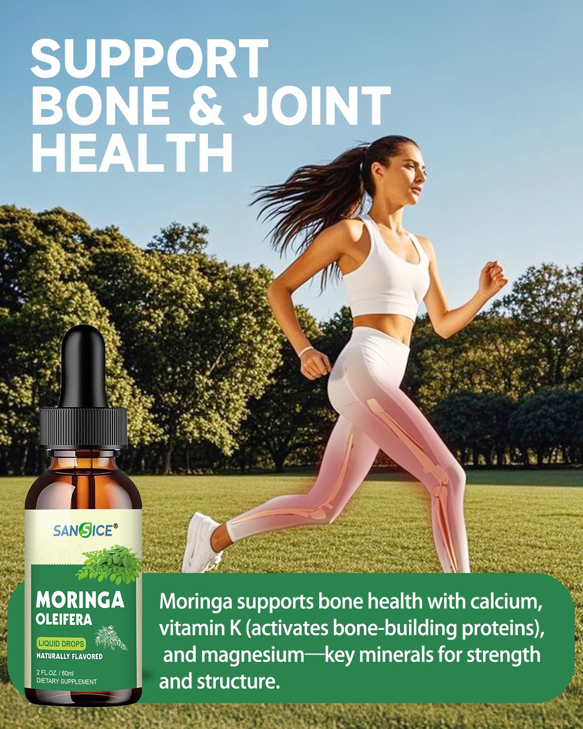 SANSICE Organic Moringa Supplement, Liquid Moringa Leaf Extract for Women & Men, Lymphatic Drainage Supplement with Echinacea for Lymph System Support - Maple Wellness Supplements