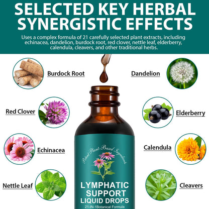 SDJUFEI 21-in-1 Lymphatic Drainage Drops， Lymphatic Support Liquid Drops with Turmeric, Echinacea, Elderberry & Dandelion, for Women & Men, 2 fl oz - Maple Wellness Supplements
