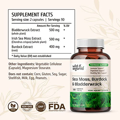 Sea Moss Capsules - 180 Caps Wildcrafted Irish Moss, Burdock Root & Bladderwrack - Maple Wellness Supplements