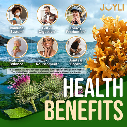 Sea Moss Gummies - Irish Seamoss Gummies for Adults & Kids - Advanced Superfood Supplement with Natural Sea Moss Gel, Bladderwrack & Burdock Root Extract - 60 Vegan Irish Moss Gummy Bears - Maple Wellness Supplements