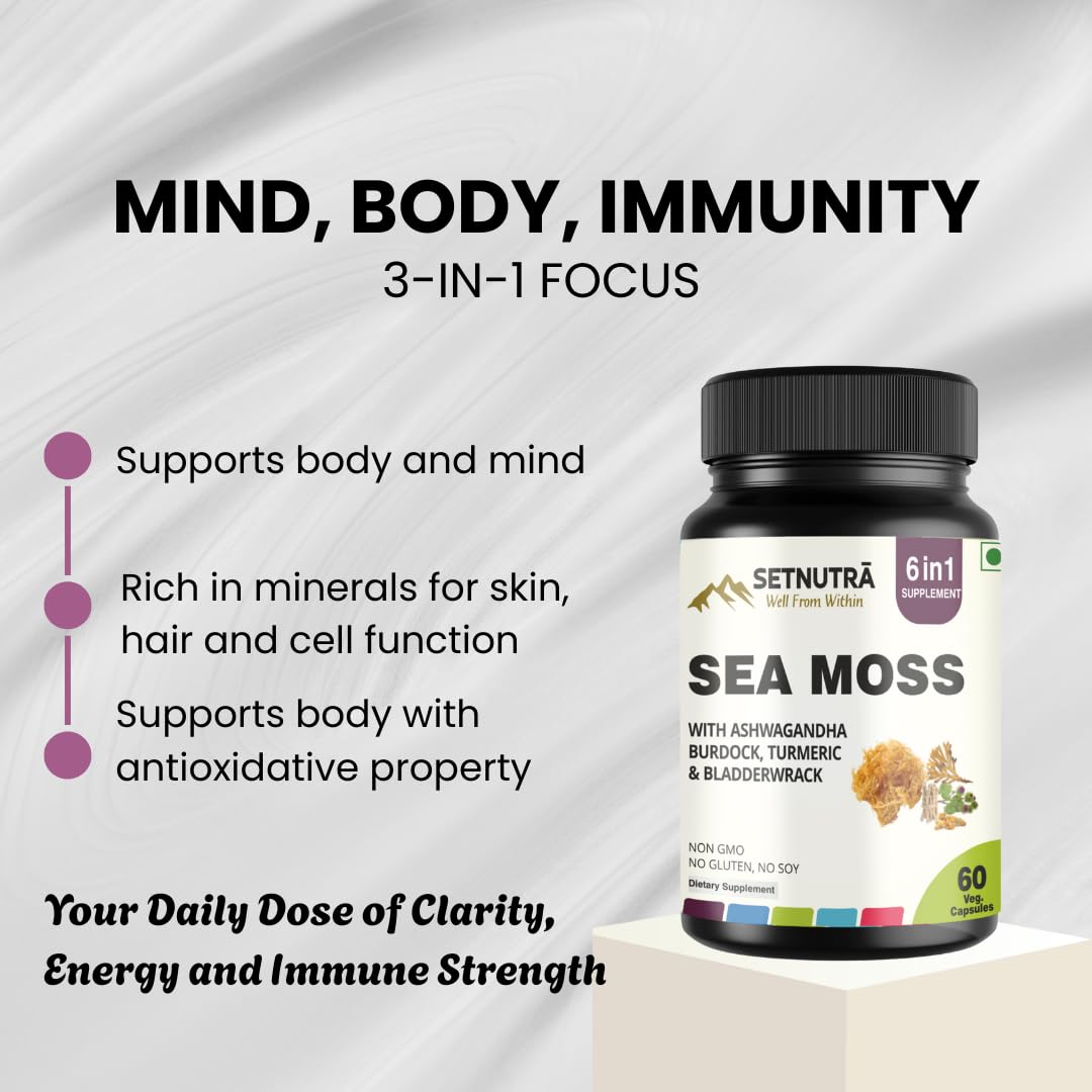 SETNUTRA Well From Within Sea Moss 6 in 1 Super Blend Ashwagandha Burdock Turmeric & Bladderwrack Immunity & Detox Support 60 Veg Capsules Non GMO No Gluten - Maple Wellness Supplements