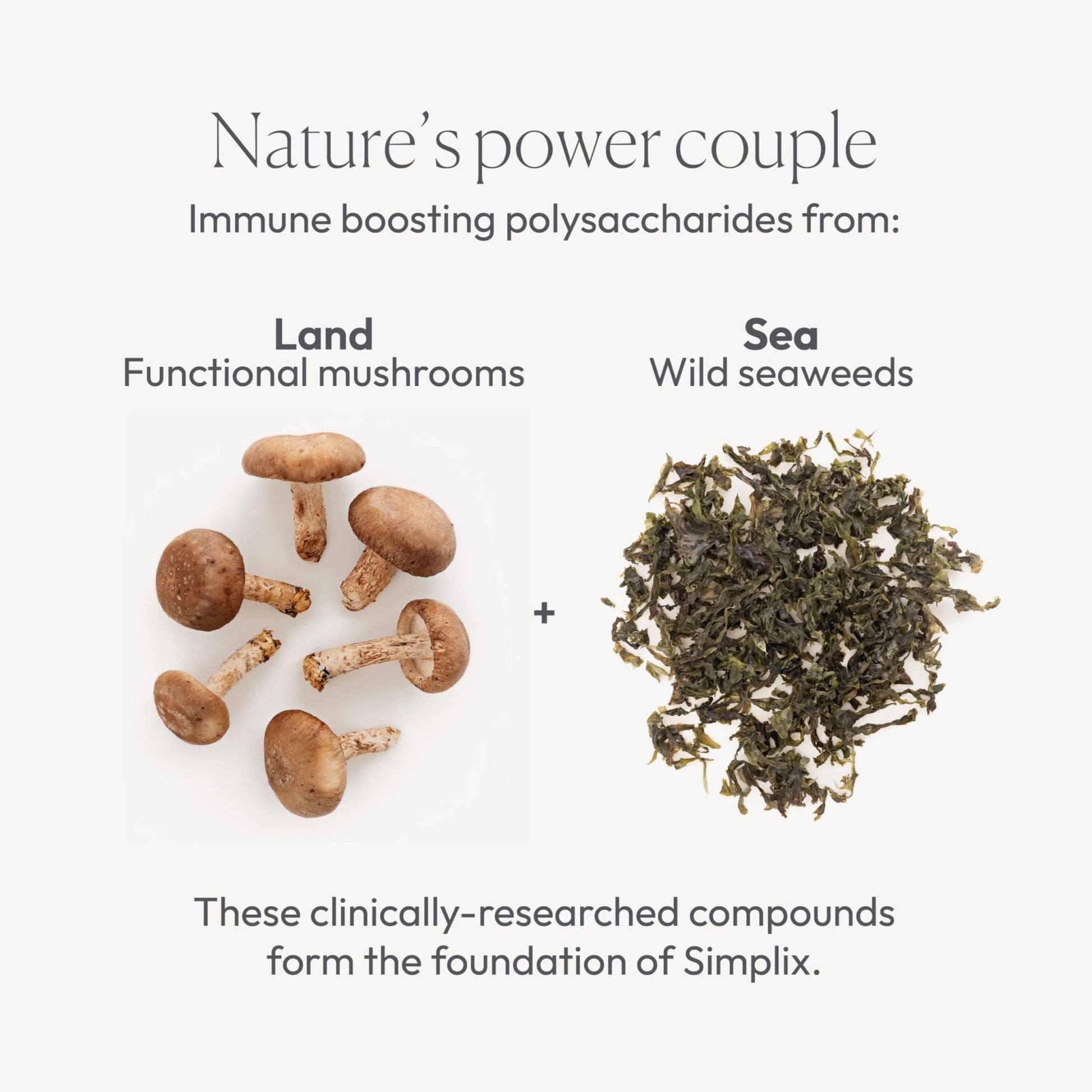 Simplix | Natural Supplement to Strengthen The Immune System | Respond to Outbreaks | Source of Highly Researched Mushroom & Seaweed Polysaccharides 60 Veggie Capsules (3 Pack) (180 Count) - Maple Wellness Supplements