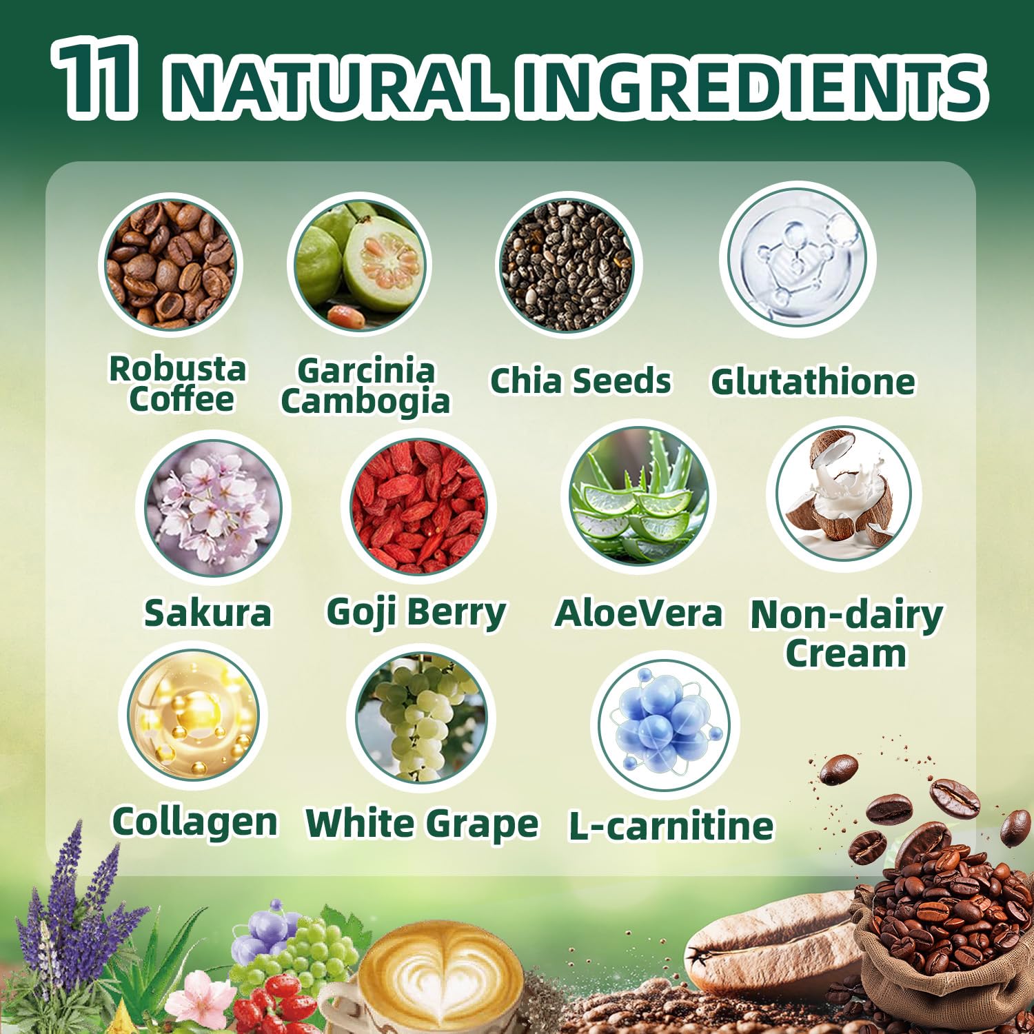 Skiseoy 20x Collagen Chia Coffee - 11-in-1 Coffee Shape Mix with L-Glutathione for Skin, Hair, Joints - Boost Energy and Focus, Vegan Friendly, 45 Servings - Maple Wellness Supplements