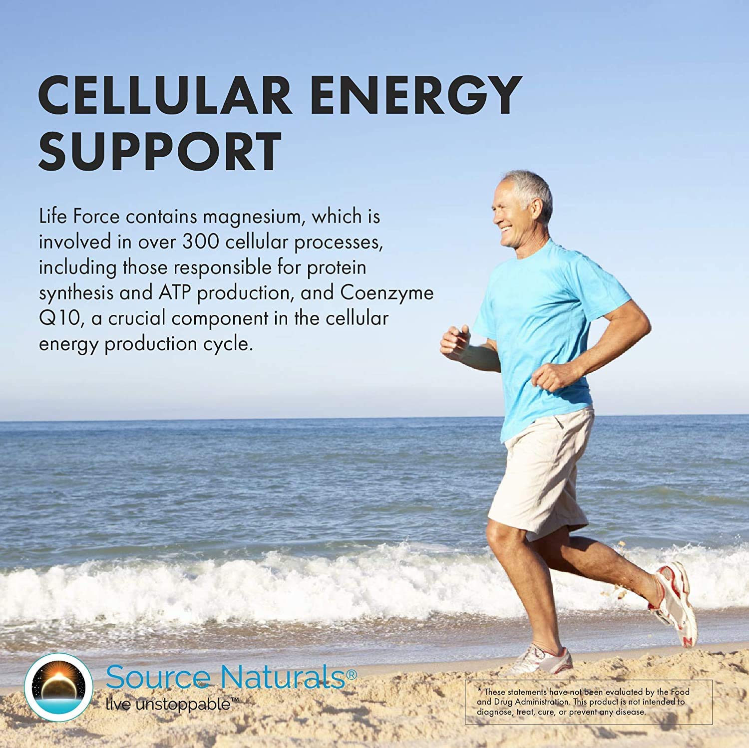 Source Naturals Life Force Multiple Iron Free Daily Multivitamin High Potency Essential Vitamins, Minerals, Antioxidants & Nutrients - Energy & Immune Boost* - 60 Capsules - Maple Wellness Supplements