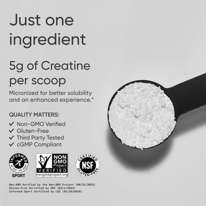 Sports Research Creatine Monohydrate - Gain Lean Muscle, Improve Performance and Strength and Support Workout Recovery* - 5 g Micronized Creatine - 17.64 oz - Maple Wellness Supplements