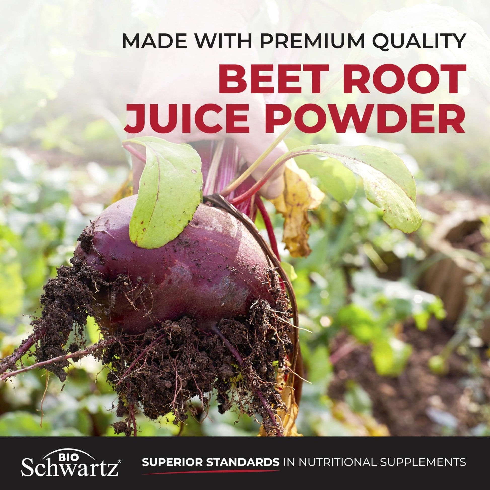 Sugar Free Beet Root Gummies - Nitric Oxide Gummies Infused with Coconut Oil for Highest Absorption - Supports Energy & Whole Body Health - Maple Wellness Supplements