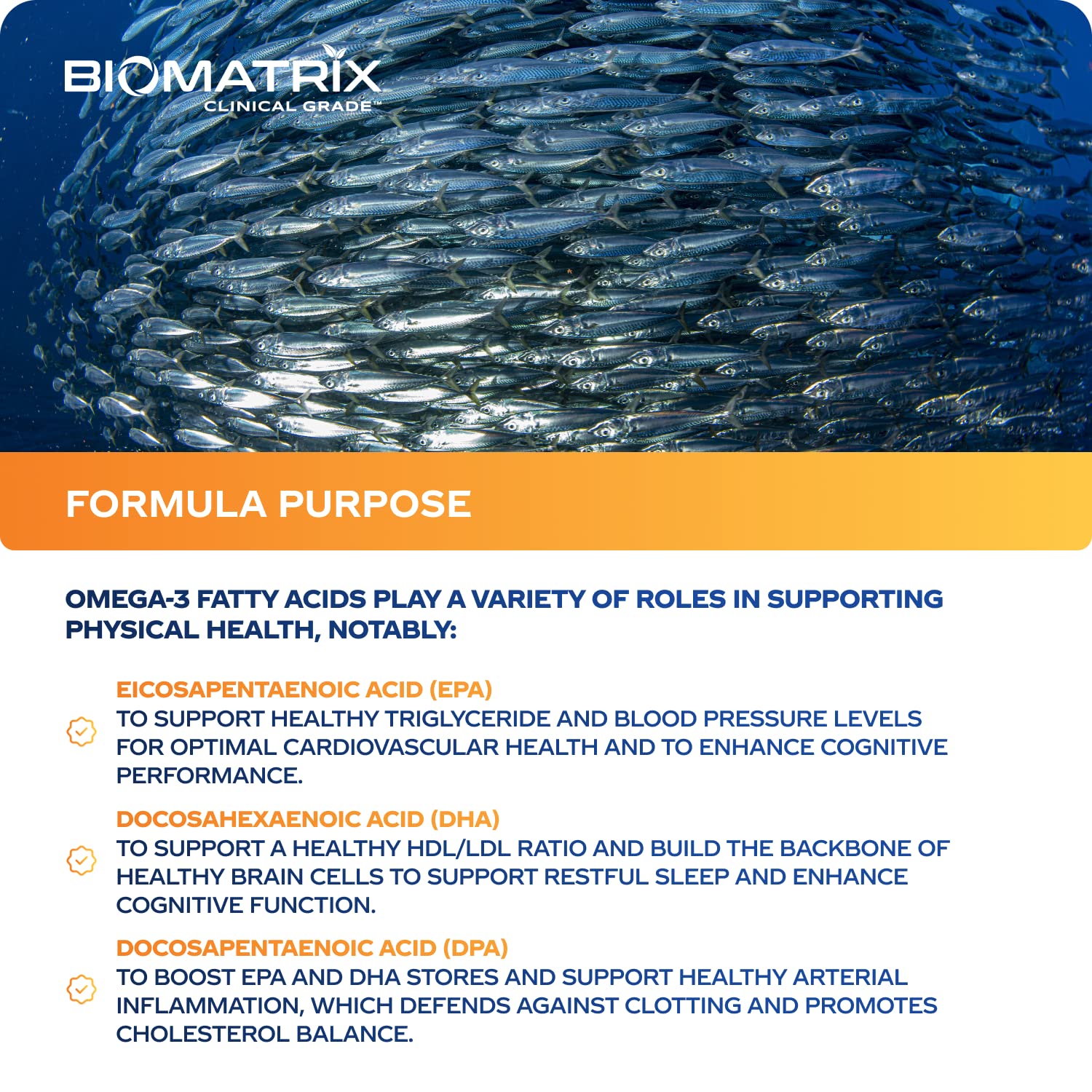 Support Omega EPA DHA Omega 3 Fish Oil Supplement - Cardiovascular, Musculoskeletal Support (120 Gel Capsules) - Maple Wellness Supplements