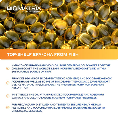 Support Omega EPA DHA Omega 3 Fish Oil Supplement - Cardiovascular, Musculoskeletal Support (120 Gel Capsules) - Maple Wellness Supplements