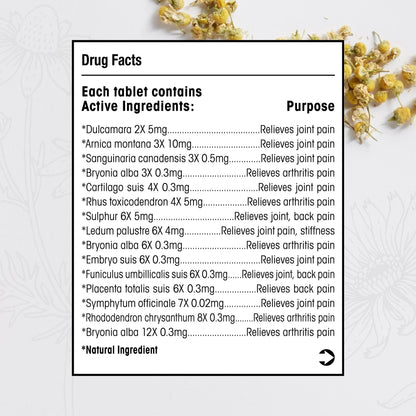 T-Relief Arthritis Arnica +12 Pain Relieving Natural Medicines Help Reduce Soreness Stiffness Aches & Pains in Joints Naturally - 100 Tablets (2 Pack) - Maple Wellness Supplements