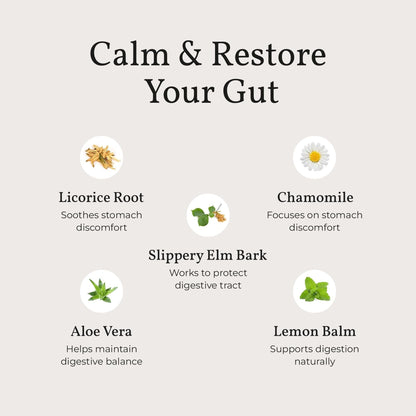 Terra Health Essentials Acid Relief - Plant Based Digestive Support Supplement for Comfortable Gut Function - Lemon Balm, Slippery Elm, - Maple Wellness Supplements