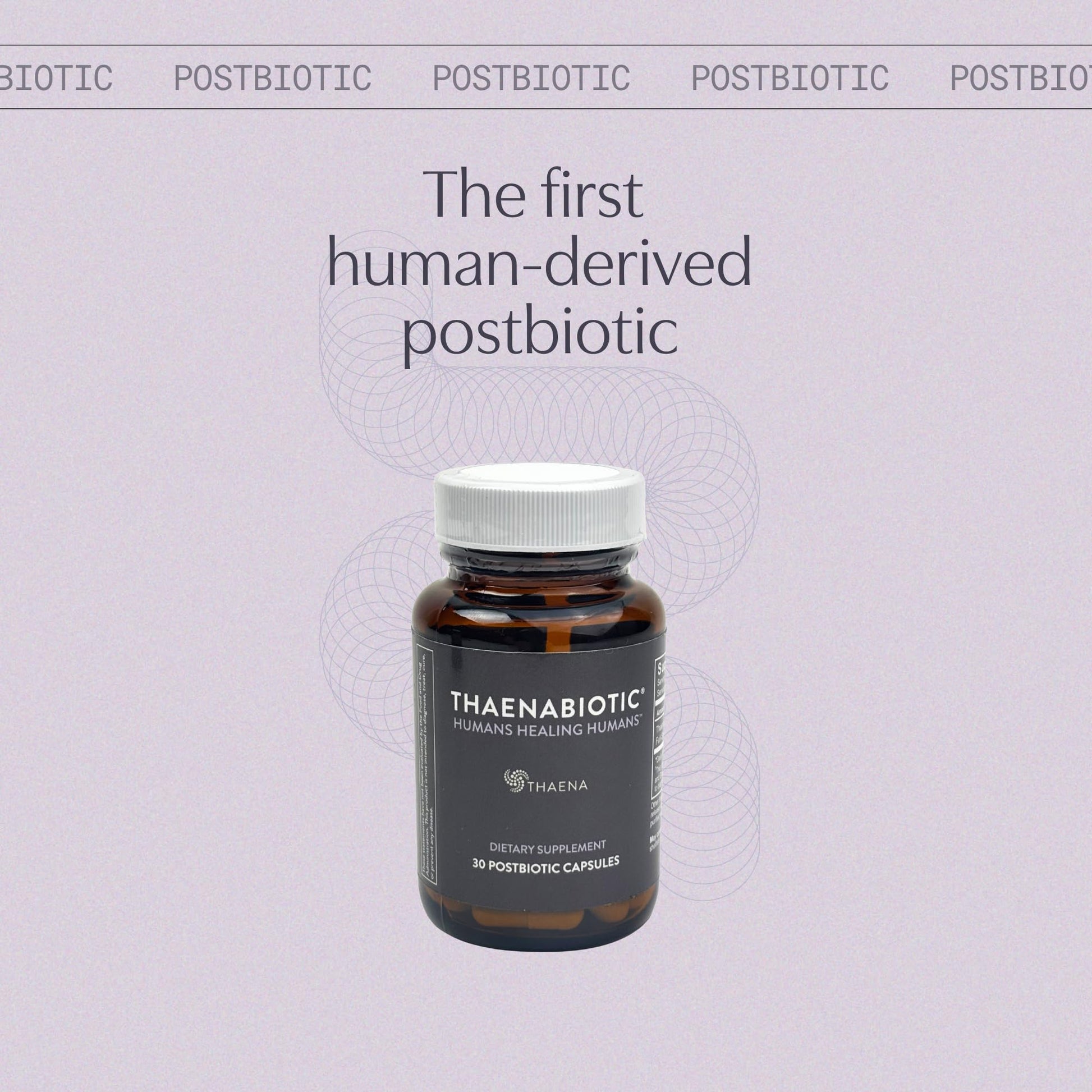 Thaena ThaenaBiotic Postbiotic - World's First Human-Derived Postbiotic Supplement - 30 Count - Maple Wellness Supplements