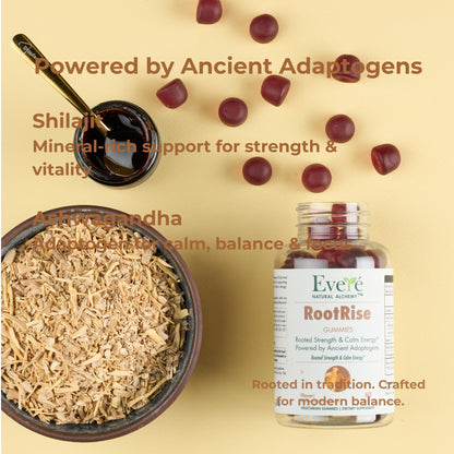 The EverÉ Natural Alchemy Evere RootRise Gummies - Shilajit + Ashwagandha Gummies - Maple Wellness Supplements