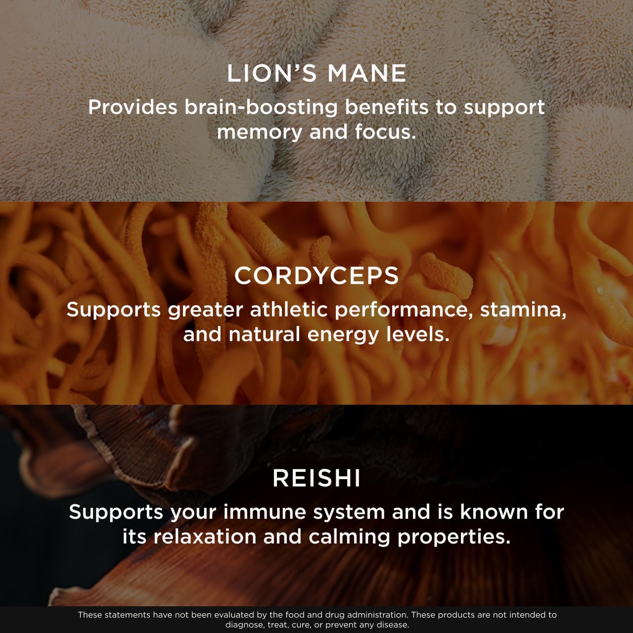 The Genius Brand Mushroom Powder - Includes Lion's Mane, Cordyceps & Reishi - Supports Brain Health, Immune System & Energy Levels - USDA Organic Mushroom Powder - 3.17 oz (60 Servings) - Maple Wellness Supplements