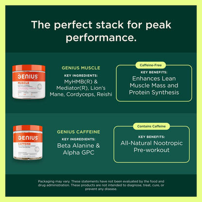 The Genius Brand Protein Powder - Chocolate + Adaptogenic Mushroom Blend - Plant-Based Protein with Reishi, Cordyceps & Lion’s Mane - Daily Muscle Recovery & Immune Support - 20 Servings - Maple Wellness Supplements