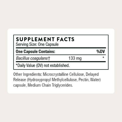 THORNE - Bacillus Coagulans Probiotic - Shelf Stable Probiotic Supplement to Promote GI Health* - 60 Capsules - Maple Wellness Supplements