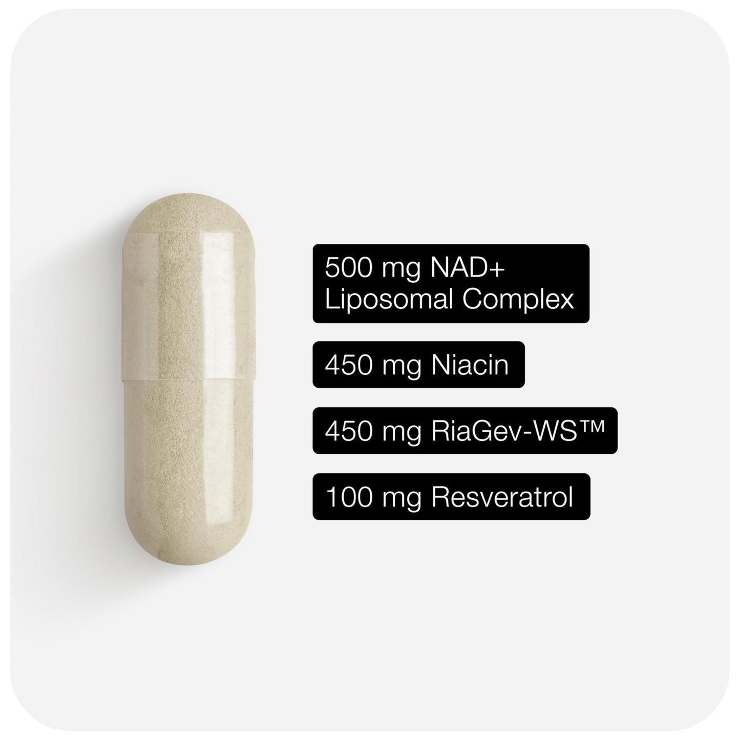 Toniiq Liposomal NAD+ and Resveratrol Supplement - 1500mg Ultra High Strength NAD Supplement - Clinically Studied Ingredients with Patented RiaGev-WS™, Resveratrol, and Niacin - 60 Capsules - Maple Wellness Supplements