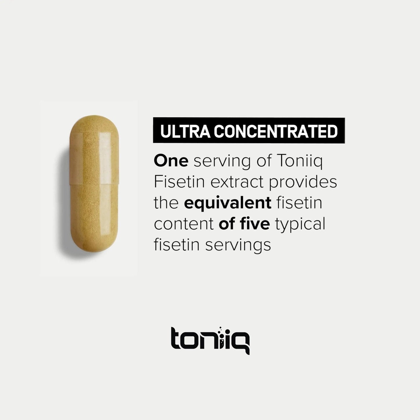 Toniiq Ultra High Purity Fisetin 500mg - 98%+ Higly Purified & Bioavailable Fisetin Supplement with MCT Oil for Absorption - Third-Party Tested Senolytic Supplements for Aging Support - 60 Capsules - Maple Wellness Supplements
