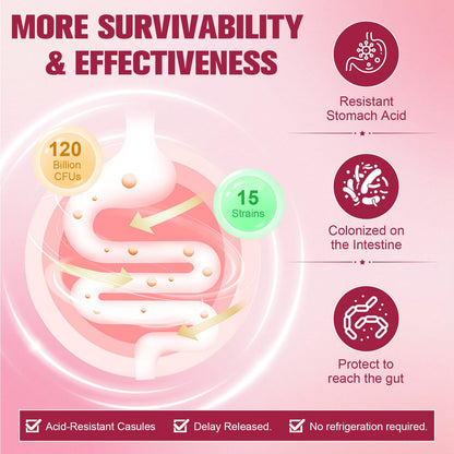 Totaria Probiotics for Women, 120 Billion Women Probiotic, with Akkermansia, Digestive Enzymes & Prebiotics, Cranberry, D-Mannose, for Gut, Vaginal, Urinary - Maple Wellness Supplements