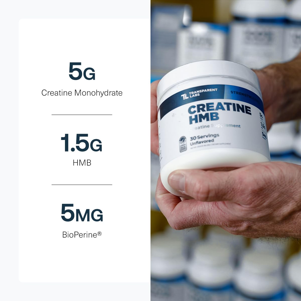 Transparent Labs Creatine HMB - Creatine Monohydrate Powder with HMB for Muscle Growth, Increased Strength, Enhanced Energy Output - Maple Wellness Supplements