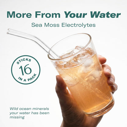 TrueSeaMoss Electrolytes Powder Packets – Made in USA – 16 Stickpacks – Hydration Powder with Sea Moss with Potassium – No Sugar Drinks – Variety Pack - Maple Wellness Supplements