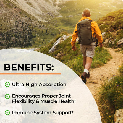 Turmeric Curcumin with Black Pepper Extract 1500mg - High Absorption Ultra Potent Turmeric Supplement with 95% Curcuminoids and BioPerine - Maple Wellness Supplements
