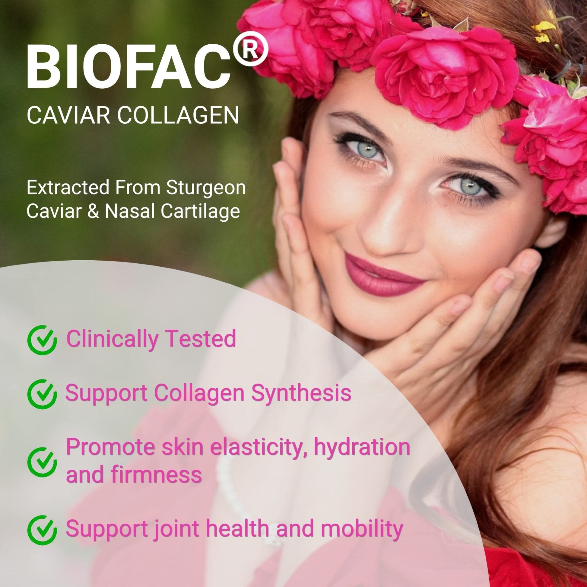 UpNourish Probiotics, Caviar Collagen with Prebiotics for Women's Digestive, Skin Radiance, and Feminine Health with Cranberry - Maple Wellness Supplements
