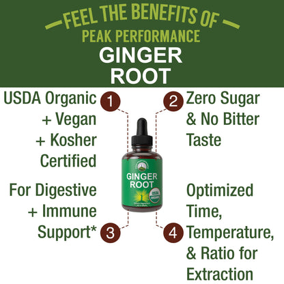 USDA Organic Ginger Root Extract Liquid Drops. Zero Sugar, Non Bitter Vegan Ginger Oil Supplement for Immune, Digestive + Gut Support. High Bioavailability, Gluten Free for Women and Men. Take Orally - Maple Wellness Supplements