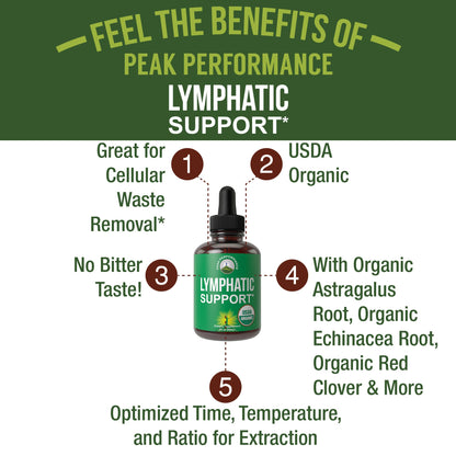 USDA Organic Lymphatic Drainage Drops. Sugar Free, Tasty 6-in-1 Lymph System Support for Detox, Cleanse. Vegan Supplement with Astragalus, Echinacea, Red Clover, Cleavers Herb, Licorice & Burdock Root - Maple Wellness Supplements