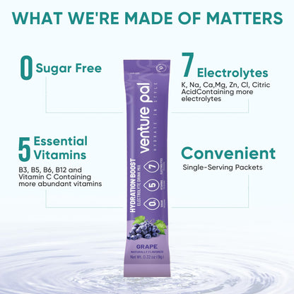 Venture Pal Sugar Free Electrolyte Powder Packets - Liquid Daily IV Drink Mix for Rapid Hydration & Party Recovery | 5 Vitamins & 7 Electrolytes| Keto Friendly - Maple Wellness Supplements