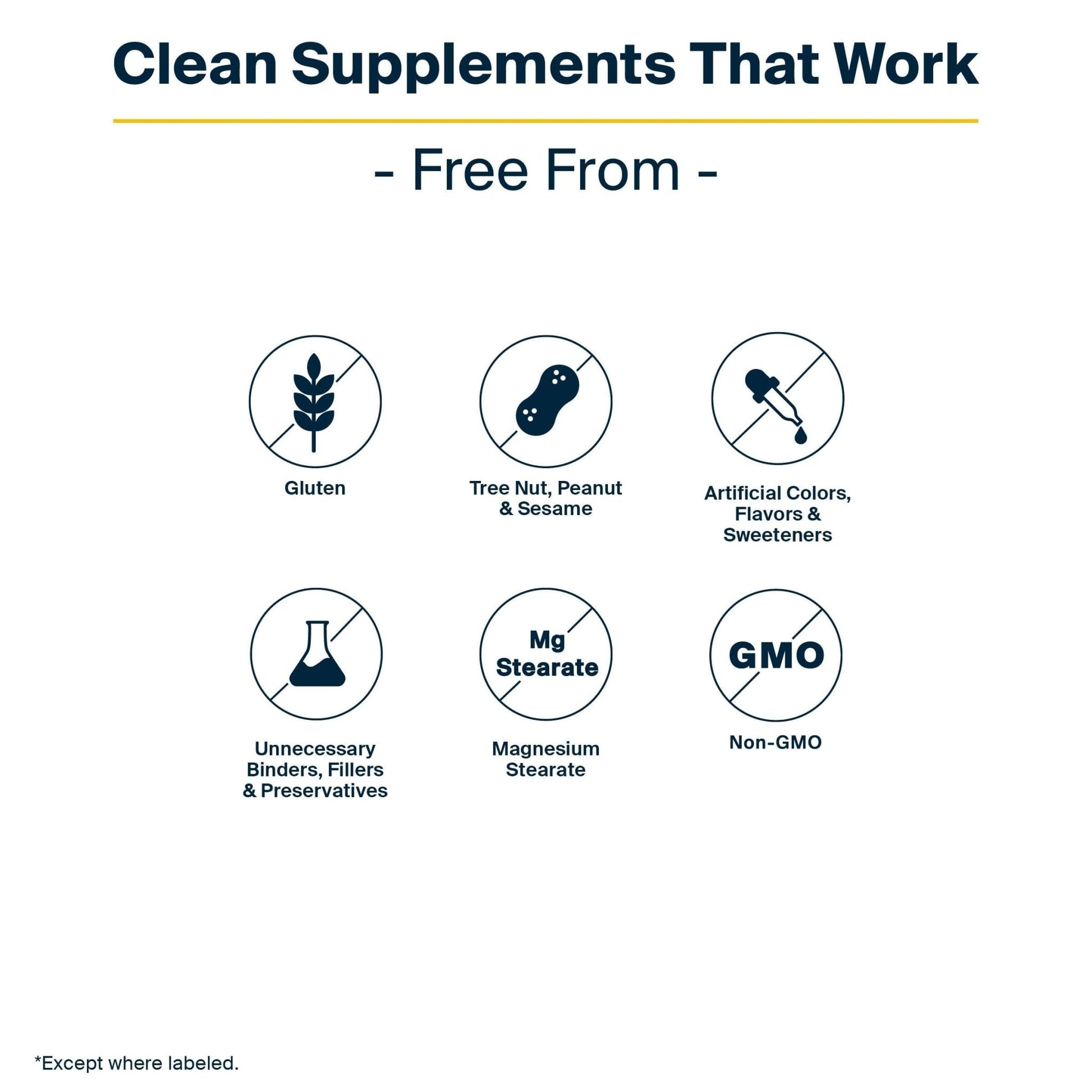 Vital Nutrients GI Repair Powder - Leaky Gut Powder with L Glutamine and Zinc - Digestive Enzyme Supplement to Support Gut Health - Maple Wellness Supplements