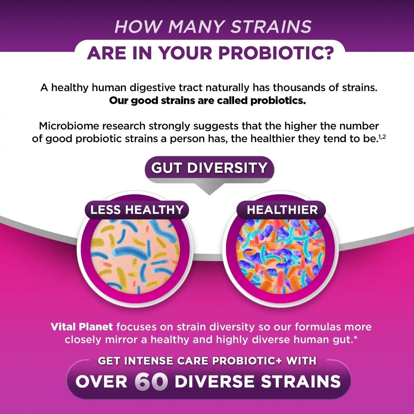 Vital Planet - Intense Care Vaginal pH & Urinary Probiotics, Prebiotics, Postbiotics, Parabiotics, 4-in-1 Refrigerated Supplement for Adults, 65 Billion CFU, 64 Strains, Digestive and Immune, 30 ct - Maple Wellness Supplements