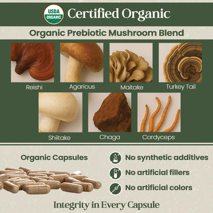 Vital Planet - Organic Flora Probiotics for Gut Health Balance, Shelf Stable Probiotic 30 Billion CFU, 60 Diverse Strains, Prebiotic Organic Mushroom Blend - Maple Wellness Supplements