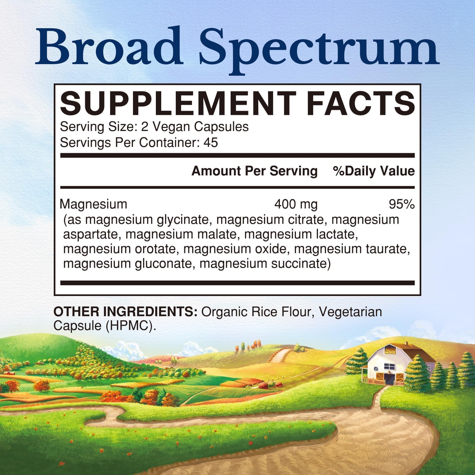 Vitalitown 10 in 1 Magnesium Complex Supplement - 400mg Elemental Magnesium Chelated with Glycinate, Citrate, Malate, Taurate & More - for Sleep Heart Energy - Non-GMO, Vegan, 90 Caps - Maple Wellness Supplements