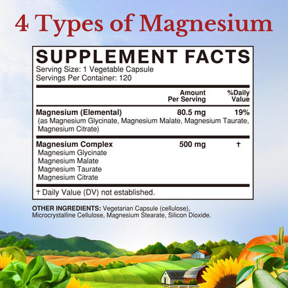 Vitalitown Magnesium Complex Supplement 500mg - NSF Certified Magnesium Glycinate, Malate, Taurate & Citrate - Chelated High Absorption & Gentle on Stomach - Vegan Non-GMO 120 Capsules - Maple Wellness Supplements