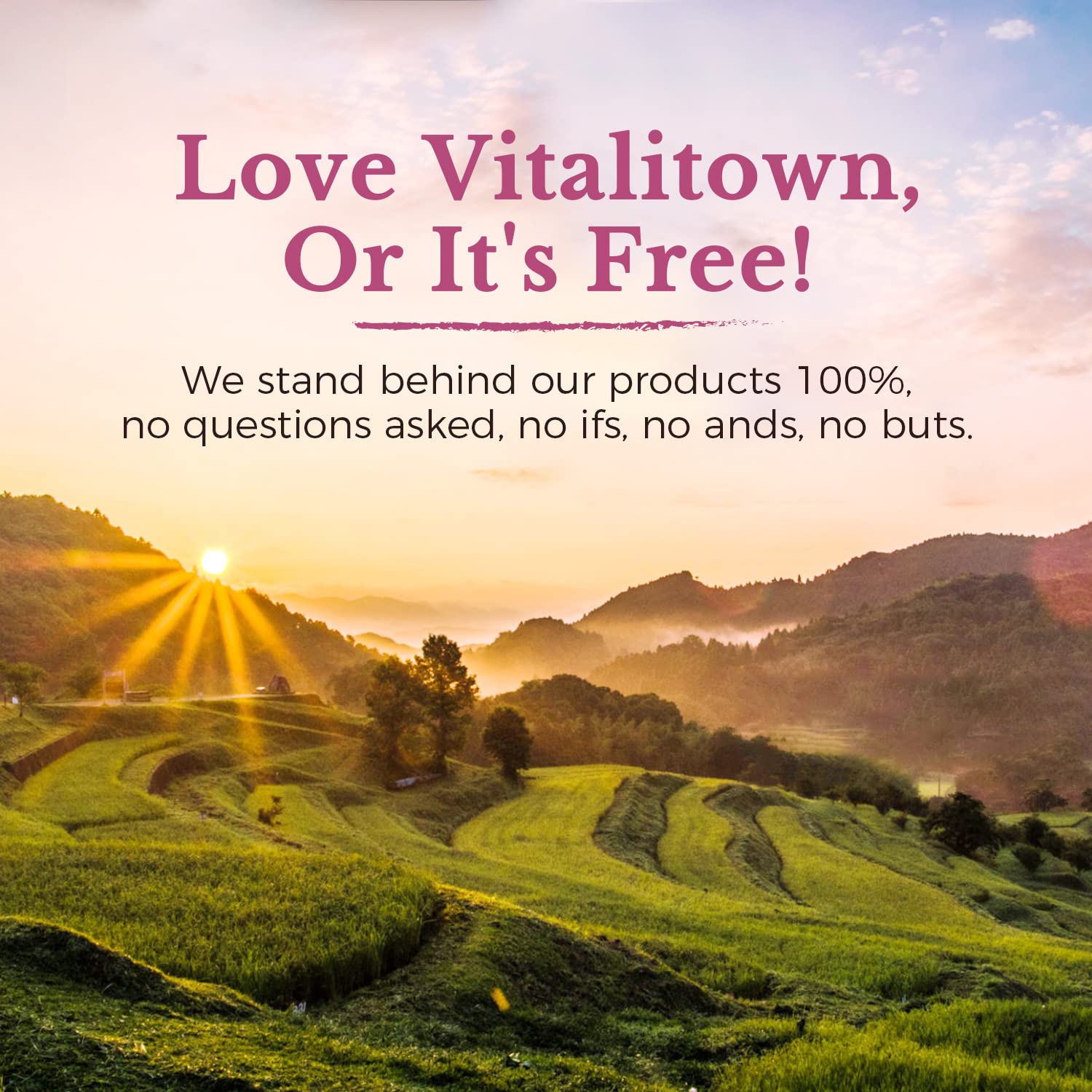 Vitalitown Probiotics for Women 120 Billion CFUs, 30 Strains, with Prebiotics & Digestive Enzymes & Cranberry, Gut & Vaginal Health, Vegan 30 - Maple Wellness Supplements